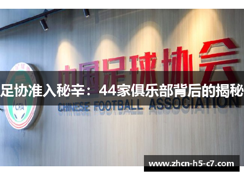 足协准入秘辛：44家俱乐部背后的揭秘