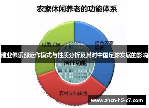建业俱乐部运作模式与性质分析及其对中国足球发展的影响 建业俱乐部运作模式与性质分析及其对中国足球发展的影响