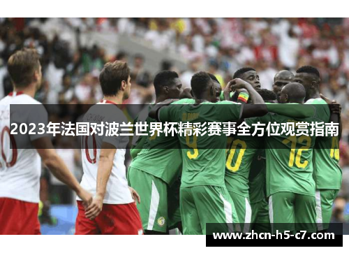 2023年法国对波兰世界杯精彩赛事全方位观赏指南