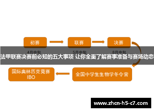 法甲联赛决赛前必知的五大事项 让你全面了解赛事准备与赛场动态 法甲联赛决赛前必知的五大事项 让你全面了解赛事准备与赛场动态