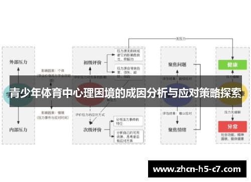 青少年体育中心理困境的成因分析与应对策略探索 青少年体育中心理困境的成因分析与应对策略探索