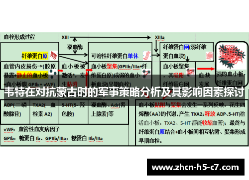 韦特在对抗蒙古时的军事策略分析及其影响因素探讨