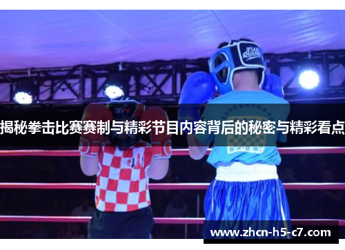 揭秘拳击比赛赛制与精彩节目内容背后的秘密与精彩看点