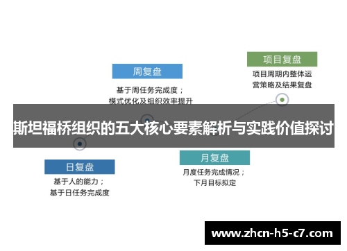 斯坦福桥组织的五大核心要素解析与实践价值探讨