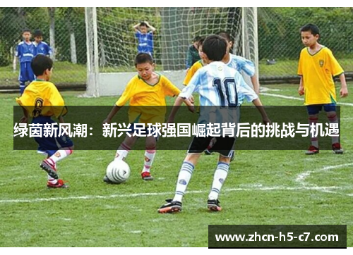 绿茵新风潮:新兴足球强国崛起背后的挑战与机遇 绿茵新风潮:新兴足球强国崛起背后的挑战与机遇