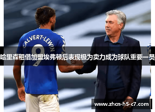 哈里森租借加盟埃弗顿后表现极为卖力成为球队重要一员 哈里森租借加盟埃弗顿后表现极为卖力成为球队重要一员