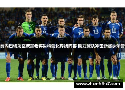 费内巴切免签波黑老将哲科强化锋线阵容 助力球队冲击新赛季荣誉