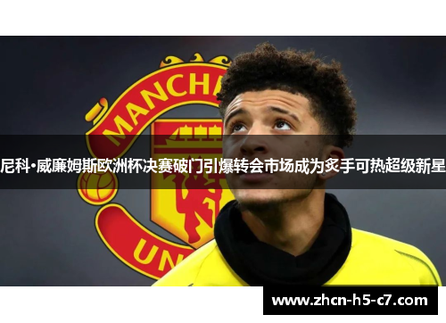 尼科·威廉姆斯欧洲杯决赛破门引爆转会市场成为炙手可热超级新星 尼科·威廉姆斯欧洲杯决赛破门引爆转会市场成为炙手可热超级新星